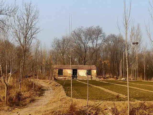 享政策红利！河北北上变频采暖炉，采暖新选择