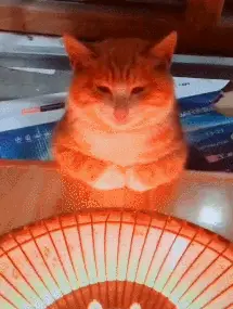 寒潮来袭！降温不“降防”，这样“烤火”要不得！